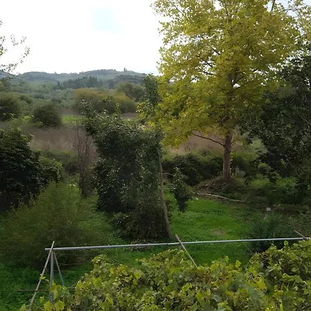 The White House In Mesoggi * Vragkaniotika