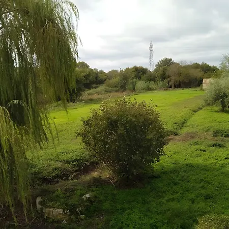 The White House In Mesoggi Апартаменты Vragkaniotika