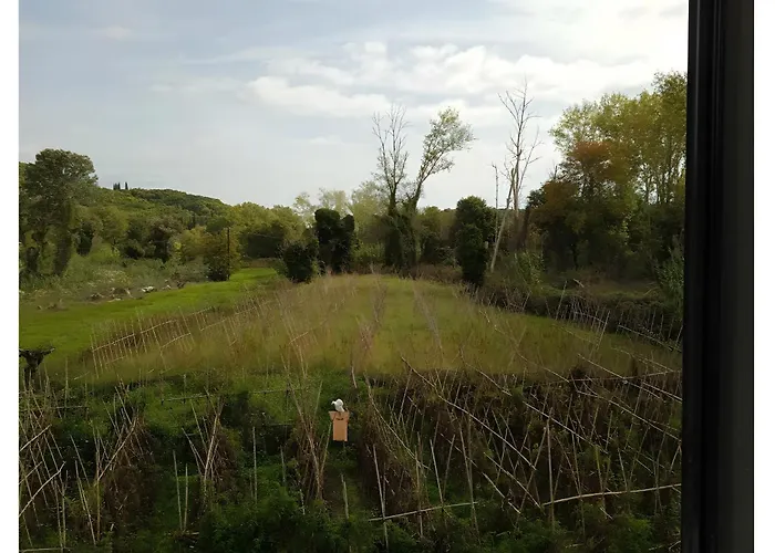 The White House In Mesoggi * Vragkaniotika